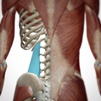 La douleur peut apparaître dans diverses zones du dos