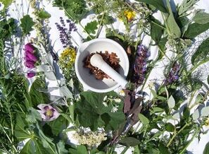 herbes pour le traitement de l'ostéochondrose